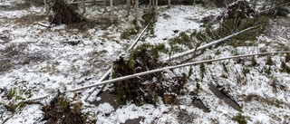 Farliga granar hotar – avrådan från besök i flera naturreservat