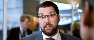 Tala ur skägget, Jimmie Åkesson!