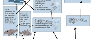 Fatta fler kloka beslut