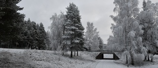 Läsarbilden: Frosten har tagit över