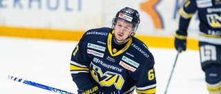 Avslöjar: VIK nära göra klart med meriterat nyförvärv • SM-guld med HV71 • Över 300 SHL-matcher