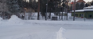 Älgarna sökte efter kunskapens träd – på skolgården