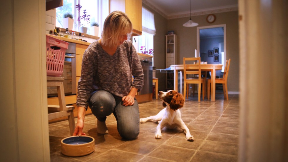 Malva är i dag en pigg och glad hund. När hon var som sjukast låg hon med dropp och hoppet var nästan ute att hon skulle klara sig, berättar Åsa Sjöberg.