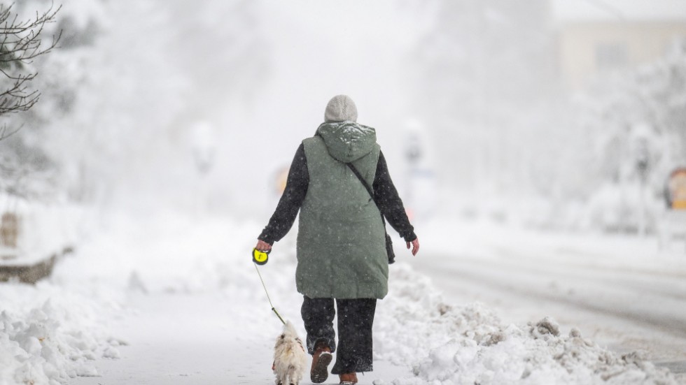 Rikliga mängder snö är att vänta över Gotland det närmaste dygnet. Lokalt kan det komma upp emot 30 centimeter.


