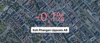 Marginell förlust för Koh Phangan Uppsala AB