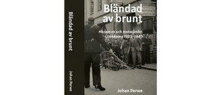 Bländad av brunt - Nazismen och motståndet i Linköping 1933-1945