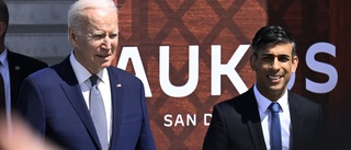 Sunak och Biden planerar fler besök