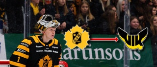 Skellefteå AIK:s stora målvaktstalang lånas ut – spelar tre tuffa matcher mellandagarna