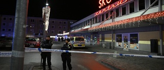 Pojke döms för kontraktsmord i Skogås