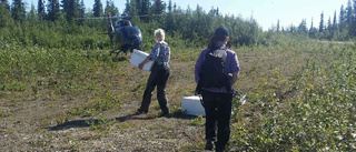 Sökningarna fortsätter – utan Missing people