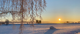 Då väntas blåst och plusgrader • Meteorologen: "När det blåser mycket så äter det effektivt på snötäcket"