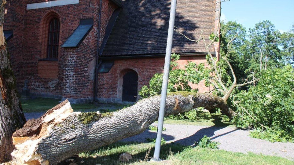 


S:t Laurentii kyrka klarade sig med en hårsmån helt och hållet från det nedfallna trädet.



