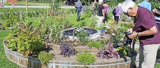 Sommarresa i trädgårdens tecken