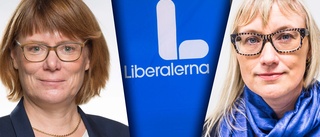 Bråket inom Liberalerna: "Är förbannad och rädd"