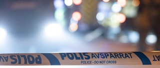 Äldre man häktad för mord på kvinna