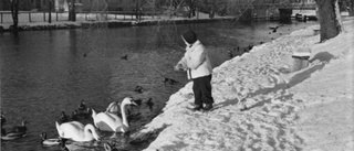 Så såg vintern ut i Östergötland för 70 år sedan