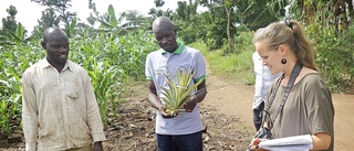 Klimathotet: Skelleftefödda Astrid hjälper bönderna i Uganda att överleva