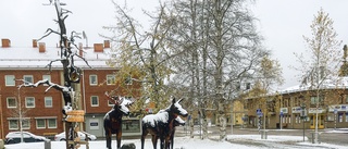 Så kom den: Första snön