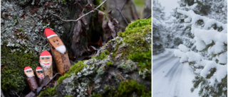 Osäker prognos inför jul • SMHI: "En vit jul vore trevligt"