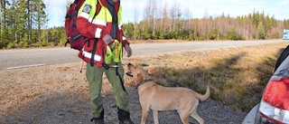 Polisen: Leta i alla uthus och sommarstugor!