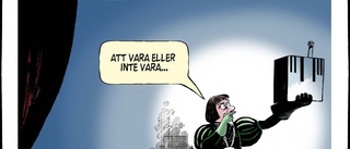 Kärnfrågan …