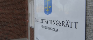 Loska fall för tinget