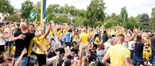 Ny fotbollsfest hålls i Vasaparken