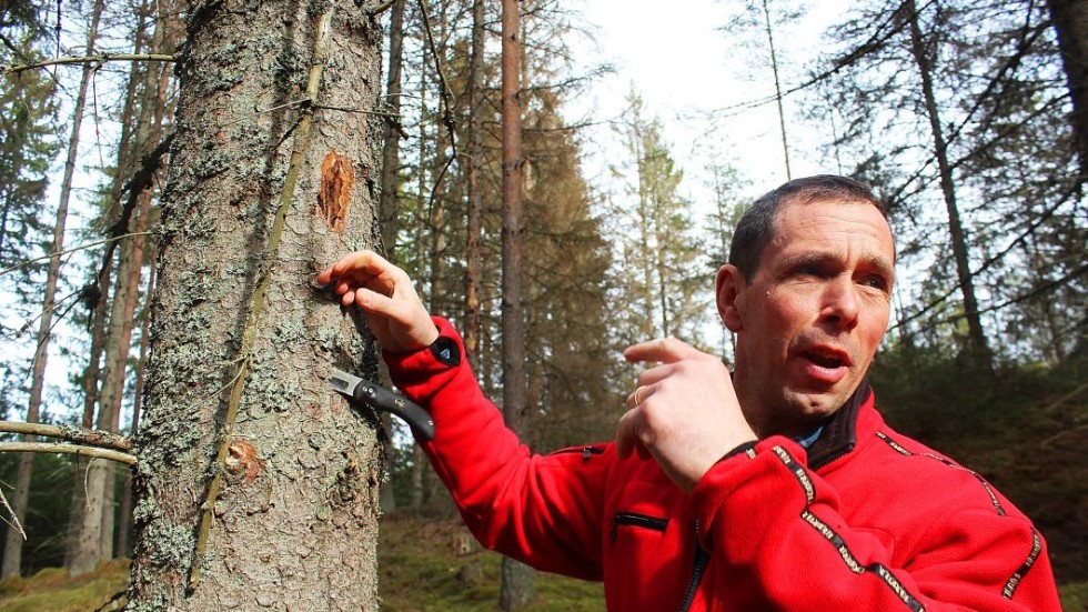 Det rörliga friluftslivet kan märka av vägarbetet, säger Torbjörn Elofson, avdelningschef för skog och mark vid Holmen.