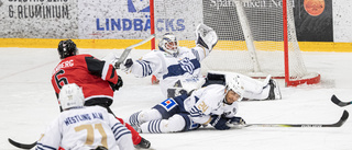 Första oddsen inför allettan – så rankas Piteå Hockey