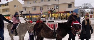 Kall skyltsöndag lockade många Kisabor till torget