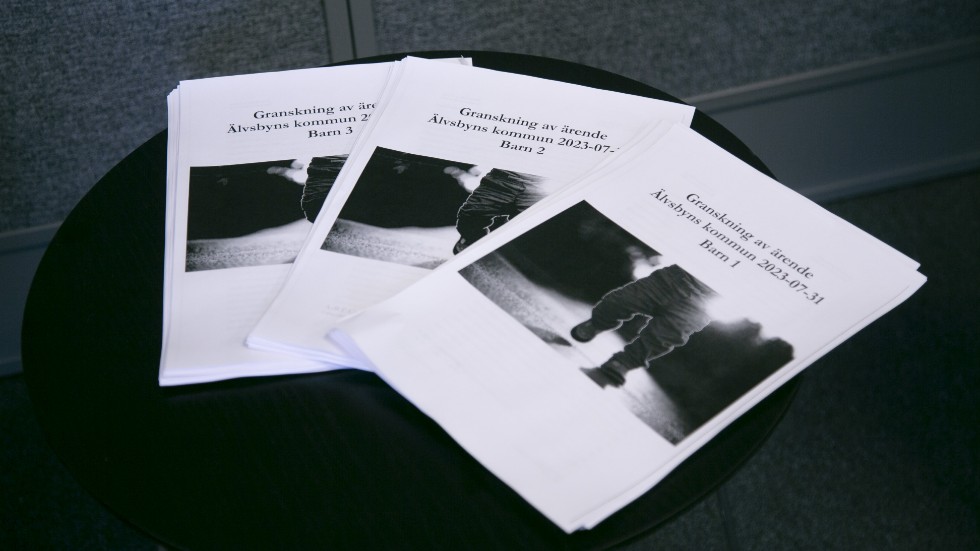 Konsulten Anna-Riikka Törrönen som rekommenderade att barnen i LVU-skandalen skulle återförenas med sina biologiska föräldrar saknade grund för flera av sina påståenden i granskningen som hon fakturerade över 700 000 kronor exklusive moms för. 