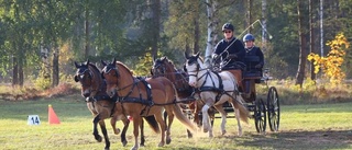 Två gotländska ekipage på plats när VM i sportkörning avgörs