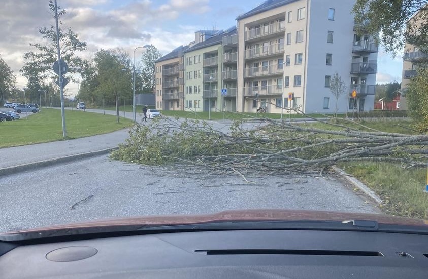 En läsare har fotat ett träd som fallit ner över Stenbrovägen i Brandkärr.