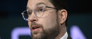 Åkesson: Borde kunna utvisa de som hyllar Hamas