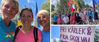 Moderaterna portades från Pridetåget i Norrköping