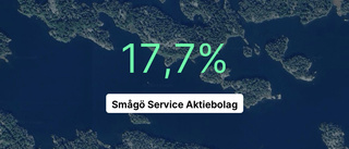 Här är siffrorna som visar hur det gick för Smågö Service Aktiebolag under 2022