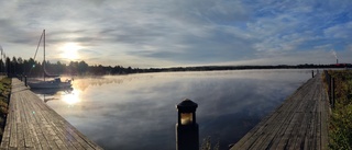 Dagens läsarbild: Morgondimma i hamnen