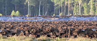 EU överens om våtmarkslag