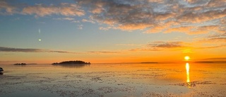 Dagens läsarbild: Piteå hamn 