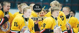 Småland vann TV-pucken