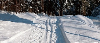 Satsar fem miljoner på konstsnö i Eksjö