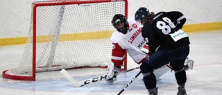 Match varannan dag i hockeykvalet