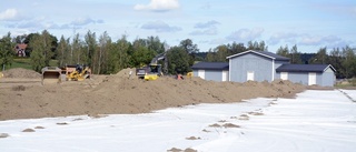 Snart rullas naturgräset ut på Hackel