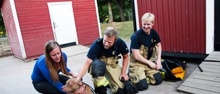 Hund fastnade under hus