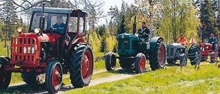 Veteranbilsrally på skogsvägar