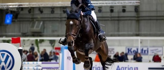 Elmia horse show stort för Helvitta