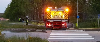 Ryckte ut efter larm om gräsbrand