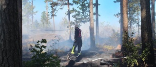 Åskoväder beräknas dra in under helgen – brandrisken ökar