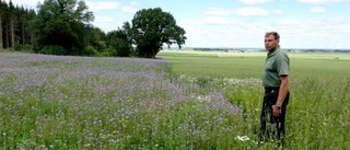 Han sår blommor som insekter gillar