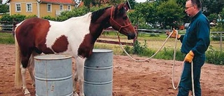 Ny paddock står högt på önskelistan